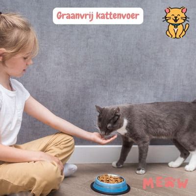 Graanvrij Kattenvoer Katvriendelijke Ingredi Nten