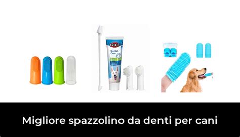 Migliore Spazzolino Da Denti Per Cani Nel Secondo Gli Esperti