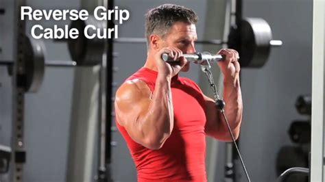 Reverse Cable Curl: Muscles Worked and How To Do