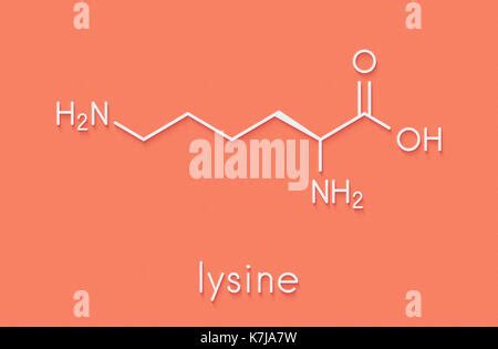 Molécula de aminoácido lisina l lisina Lys K Fórmula esquelética