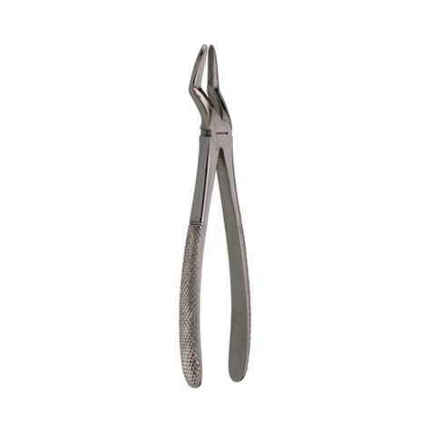 Leepac Dental SURGERY SELECTIONS Extraction Forceps INS SS 129