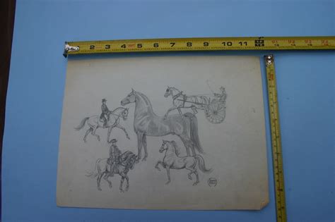 Jeanne Mellin Herrick Sketch Of The Versatility Of Morgan Horse Ebay