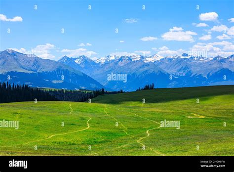 Green Grass And Mountain With Blue Sky Backgroundgreen Grassland