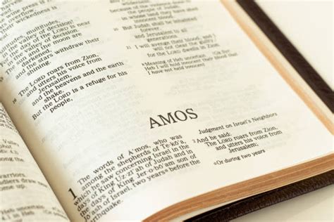 Reflexi N Amos Juicio Contra Israel Preguntale A La Biblia