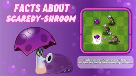 Facts About Scaredy Shroom From Pvz2 Youtube