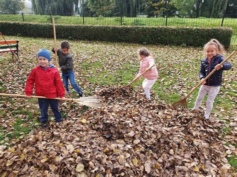 Przedszkole Miejskie Nr W Ko Obrzegu Jesienne Porz Dki W Ogrodzie