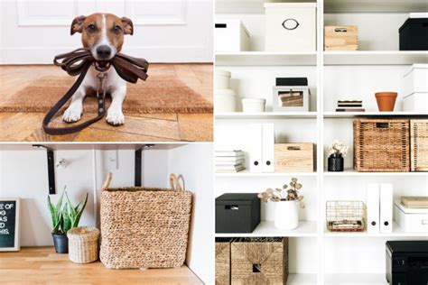 The Best Pet Friendly Décor And Accessories For Your Home Bazis