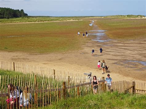 Holkham including Holkham Hall Estate, Holkham Bay