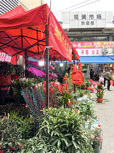 农贸市场里的“幸福年味” 深圳市龙华建设发展集团有限公司