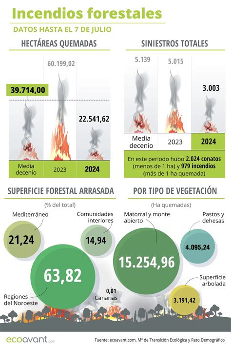 Incendios Forestales En España A 16 De Julio De 2024