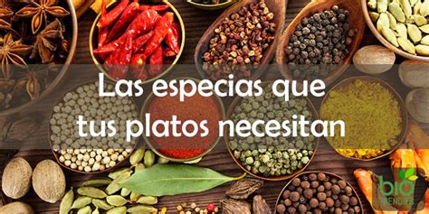 Especias Para Hacer Tus Platos Más Saludables Biotrendies