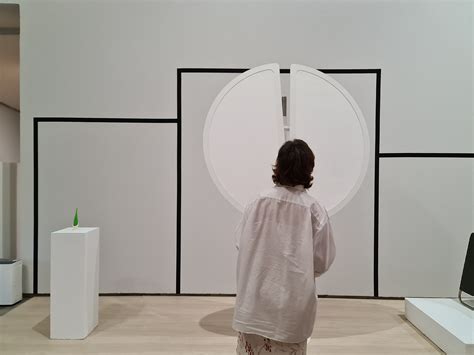 El Centre Del Carme Acosta El Disseny Emergent Amb Un Recorregut Pels Anys Del Sal Nude