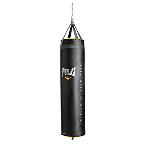 Everlast Heavy Bag Boxing Gloves Literacy Basics