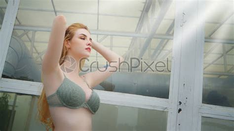 Sexy Women In Bikini Pose In Studio Stock Photo Crushpixel