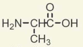 Biochem Amino Acid Structure Flashcards Quizlet