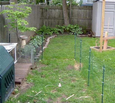 Temporary Dog Fence Ideas With 5 Type Easy Dog Fence