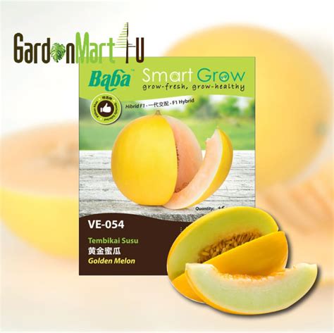 Baba Smart Grow Seeds VE 054 Golden Melon Vege Seed Biji Benih Sayur