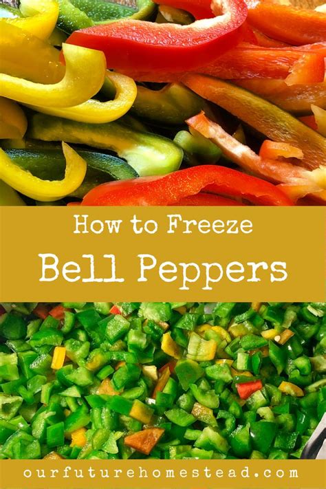 How To Freeze Bell Peppers Stuffed Peppers Freezing Bell Peppers