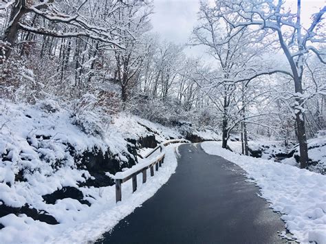 Winter Wonderland: First Snow Day in North Carolina - The Salt Compass