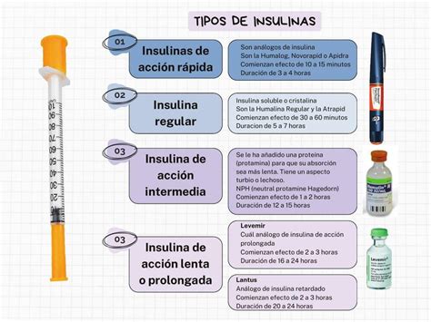 Tipos De Insulinas Med Love Udocz