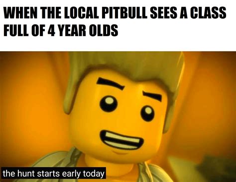 pitbull named princess : r/NinjagoMemes