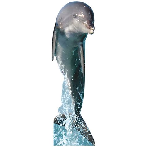 Wet Paint Printing Dolphin Jumping Water Tall Cardboard Cutout Standee