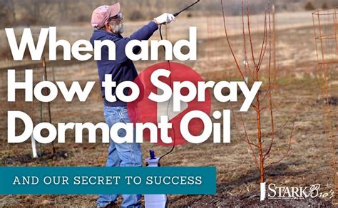 When And How To Spray Dormant Oil Stark Bros