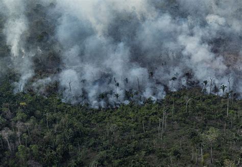 Desmatamento na Amazônia atinge novo recorde em outubro 904 km²