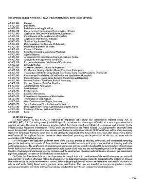 Fillable Online Dep State Fl Chapter 62 807 Natural Gas Transmission