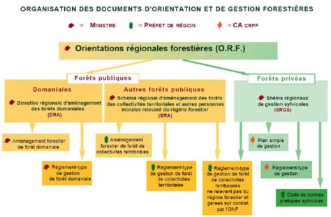 La Gestion Durable Des For Ts Minist Re De L Agriculture De La