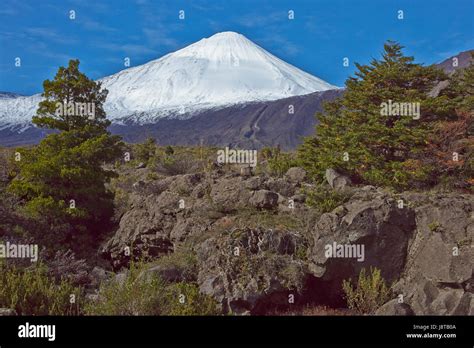 Snow Capped Peak Of Antuco Volcano 2 979 Metres Rising Above A