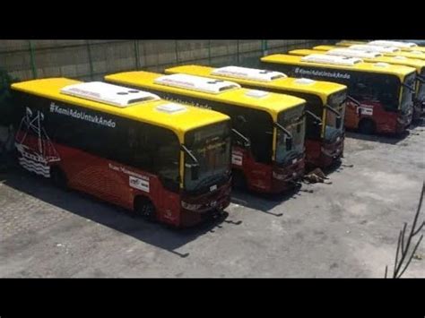 Rilis Bus Baru Trans Mamminasata Karoseri New Armada Youtube