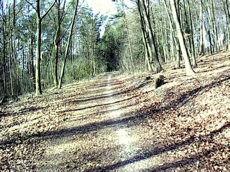 Zick Zack Trail Breitsteinig Mountain Bike Trails And Tracks Komoot