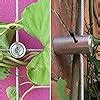 Amazon Blika Pcs Wire Trellis Kits Mm Stainless Steel Hubs