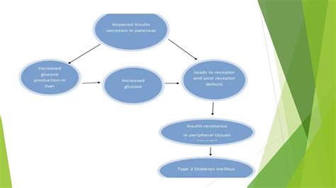 Preclinical Screening Of Antidiabeticspptx