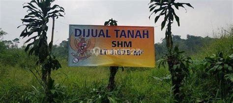 Jual Tanah Di Ciaul Pasir Sukabumi Harga Per Meter Terbaru