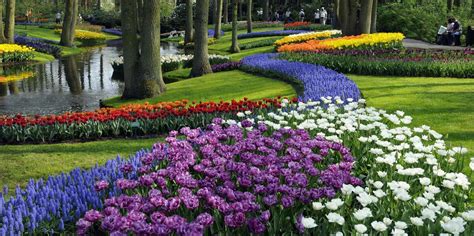 Keukenhof Gardens Tour Fasci Garden