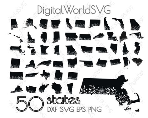 All 50 States Usa Outline Svg Digital File Floral Design Etsy