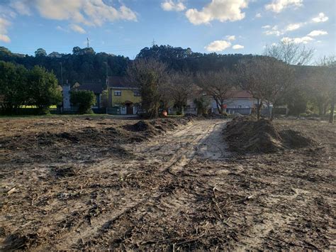 El Colectivo Ecologista Carga Contra El Plan P Blico Para Salvar Las