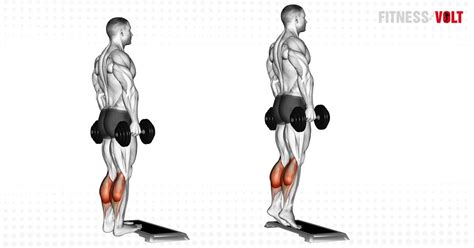What Are Standing Calf Raises