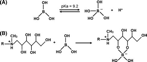 A Dissociation Of Boric Acid And B Illustration Of Complexation Of