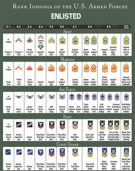 RANK STRUCTURE AND INSIGNIA OF ENLISTED MILITARY PERSONNEL - ALL ...