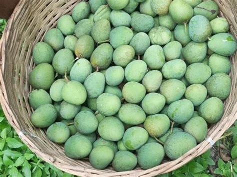 Green Fresh Himsagar Mango Crate Packaging Size Kg At Rs Kg In