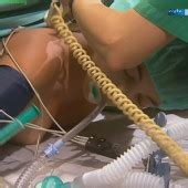 Arzu Bazman Nude Pictures Onlyfans Leaks Playboy Photos Sex Scene Uncensored