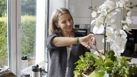 Estos Son Los Mejores D As De Febrero Para Podar Las Plantas