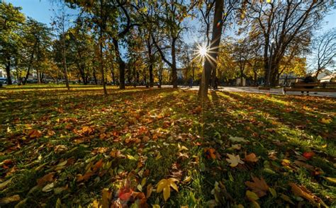 Nceputul Lunii Februarie Aduce Oscila Ii Termice I Previziuni