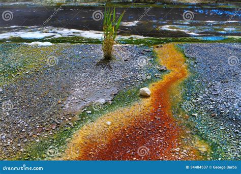 Colorful Hot Spring Deposits Stock Image Image Of Fragment Geological