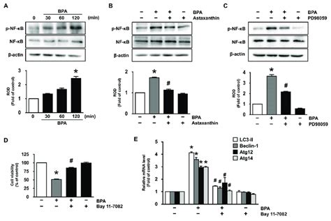 Inhibitory Effects Of Astaxanthin On The Phosphorylation Of Nf κb