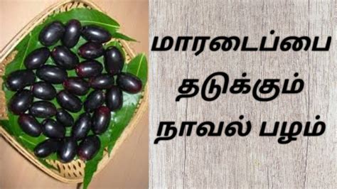 Jamun Fruit Naval Pazham Benifits In Tamil நாவல் பழத்தின்