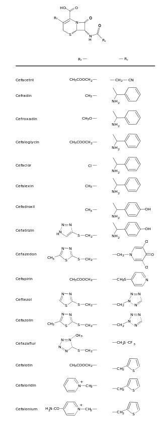 From Wikiwand Estructura De Las Cefalosporinas Clásicas Nombres En